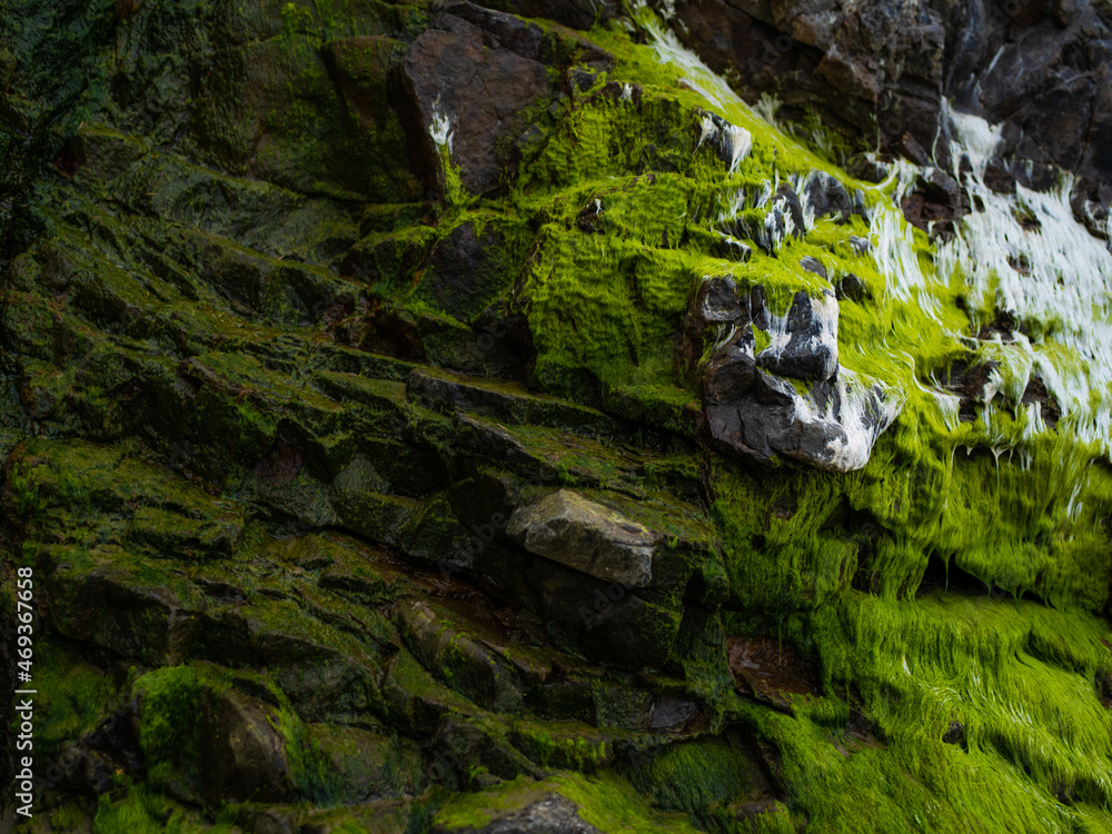 Obraz premium Macro photography. Rocks covered with moss and lichens. Minimalism. Abstraction. Background, wallpaper, texture. Geology, botany, archeology, environmental protection, ecology.