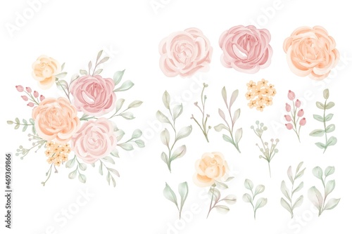 Set of Luxury Isolated Peach Rose Flower Clipart