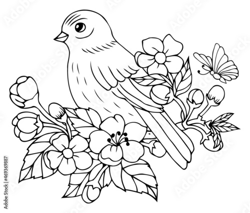 Illustration. A canary sits on a branch of a cherry blossom. Coloring book. Antistress for adults and children. The work was done in manual mode. Black and white.