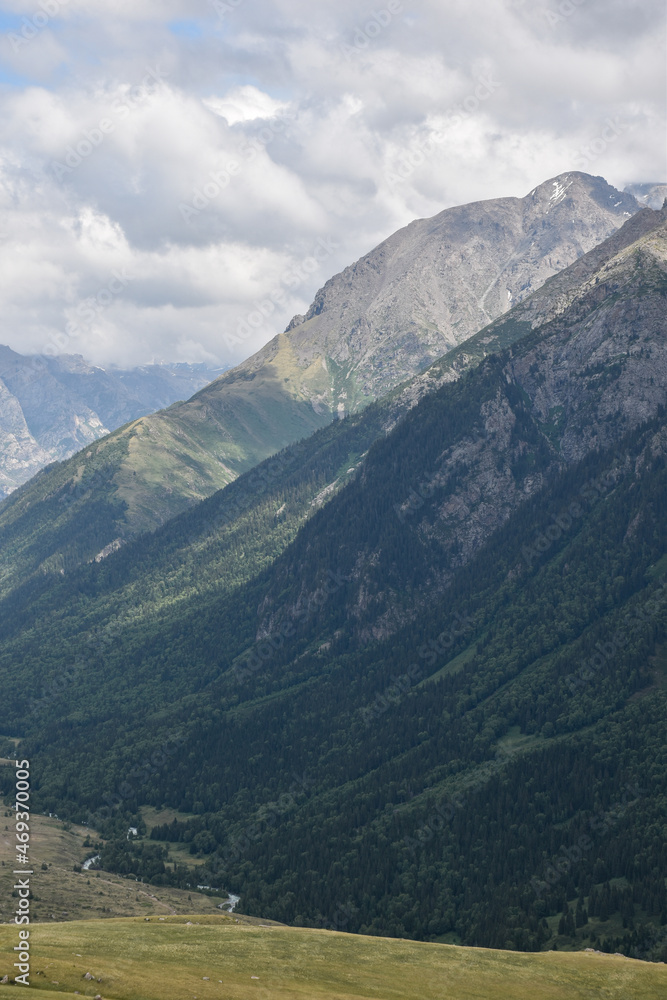 Fototapeta premium landscape with mountains