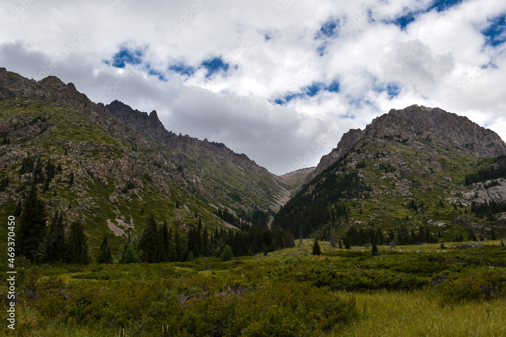 Fototapeta premium landscape with mountains