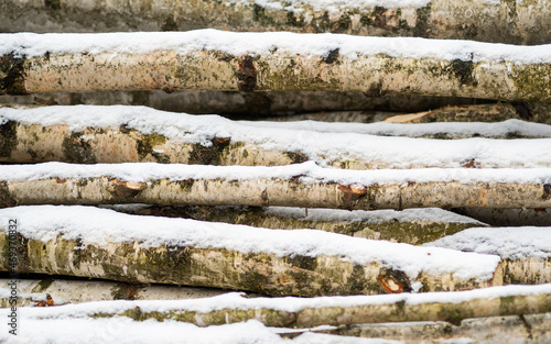 Stos drewna pokryty śniegiem, gałęzie brzozy 