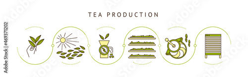 the process of making tea by stages