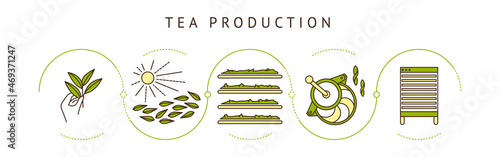 the process of making tea by stages