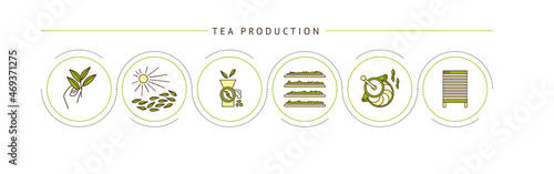 the process of making tea by stages