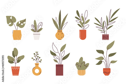 Set of green home plants in trendy boho vase and flower pot. Modern flat and outline style. Isolated on white background