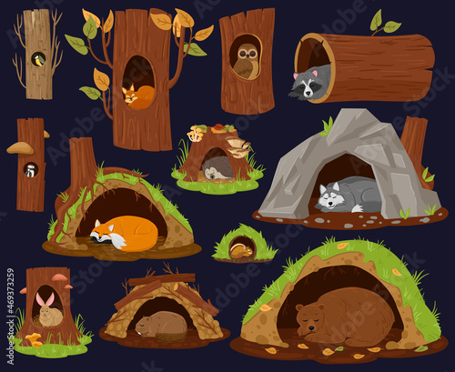Cartoon woodland animals sleeping inside burrow, hollow, nest. Forest animals resting or hibernate, cute racoon, fox and beaver vector illustration set. Wood animals houses