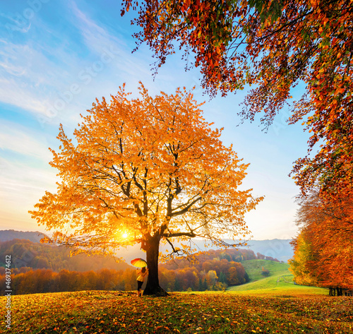 There is a lonely lush tree on the lawn covered with orange leaves. Girl in yellow dress and rubber boots stands at the tree holding the rainbow umbrella in hands. Autumn landscape.