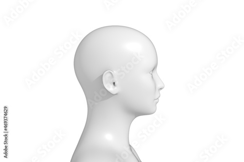 Woman  Human Female Head  3D