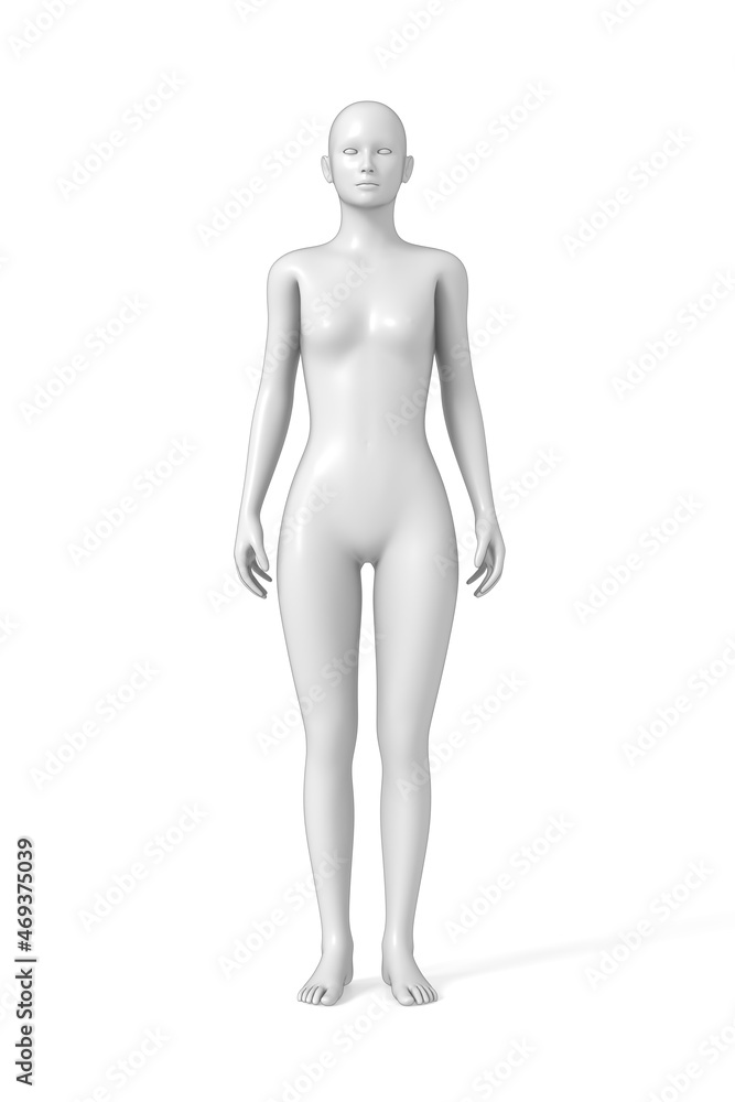 24x49in Female Body, Organs. Human body diagrams 【Laminated】
