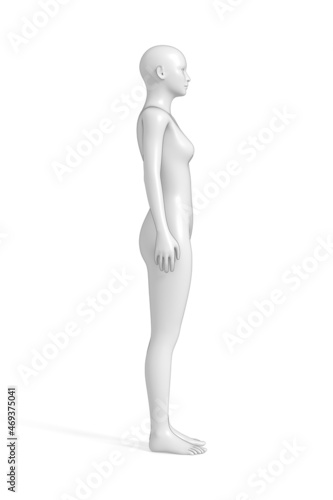 Woman  Human Female Body  3D