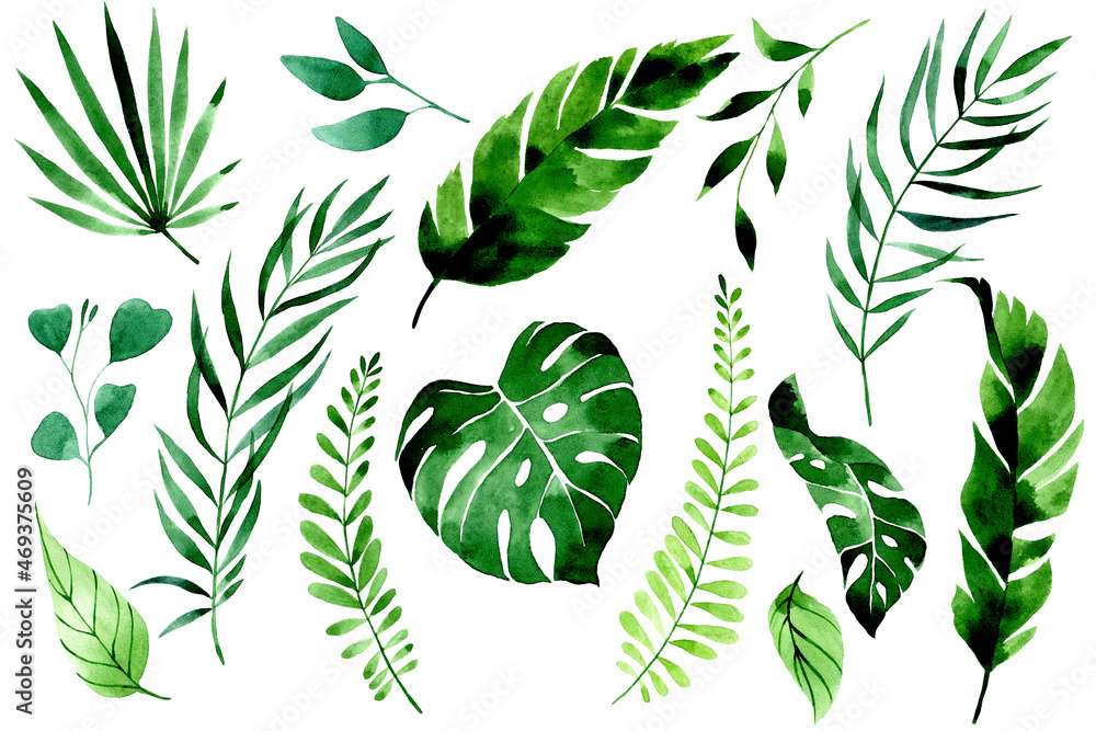 watercolor drawing. set of tropical leaves and branches. green leaves