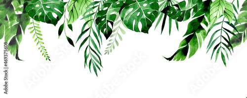watercolor drawing. seamless border, frame, banner with tropical leaves. green leaves of palm, monstera, banana leaves on a white background. jungle plants, rainforest.