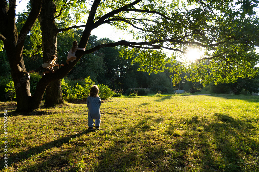 The baby looks at the achievements of older sisters and brothers. Old oak tree in the park.Achievements and opportunities concept. The baby looks at the achievements of older sisters and brothers. Old oak tree in the park.Achievements and opportunities concept.
