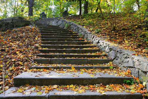 steps in utumn park photo