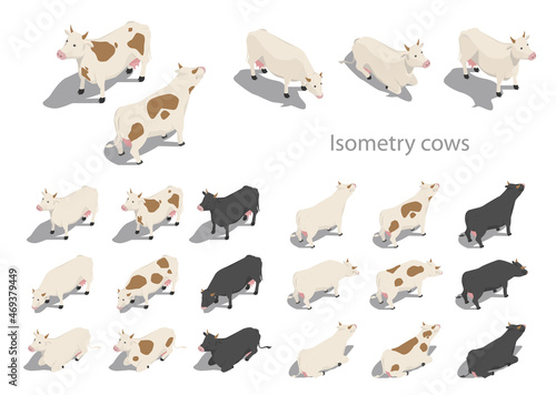 Vector illustration of a cow set, cattle. Icon for the website. Isometry.