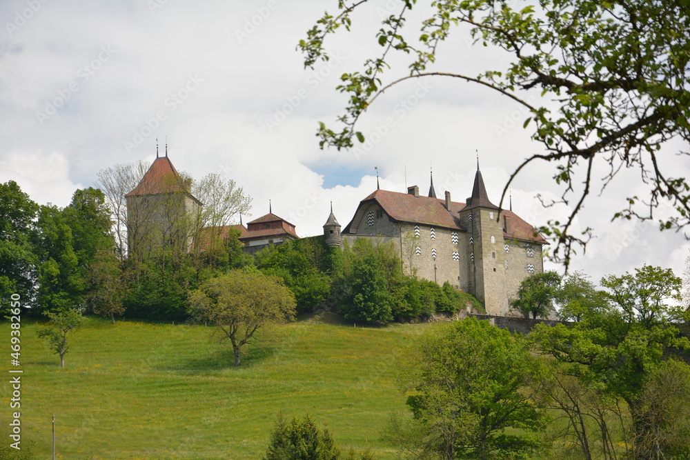 Fototapeta premium Château de Rue