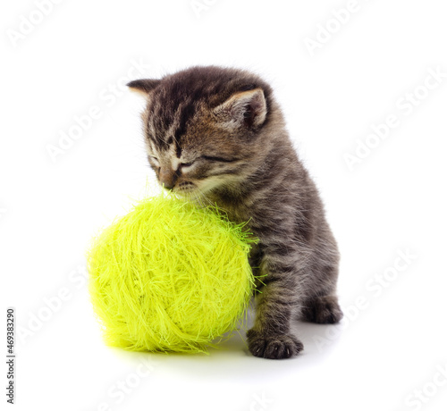 Gray kitten with a ball. © ANASTASIIA