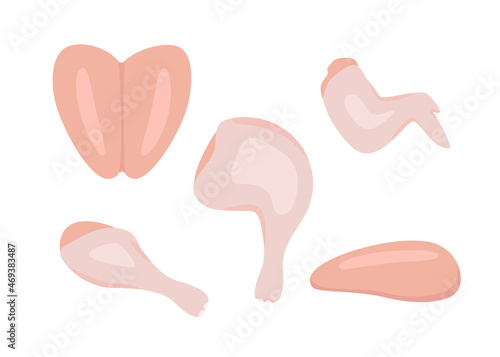 Raw chicken meat set, broiler chick pieces. Chicken leg, wing, leg, breast, drumstick, fillet. Cooking food. Vector cartoon illustration