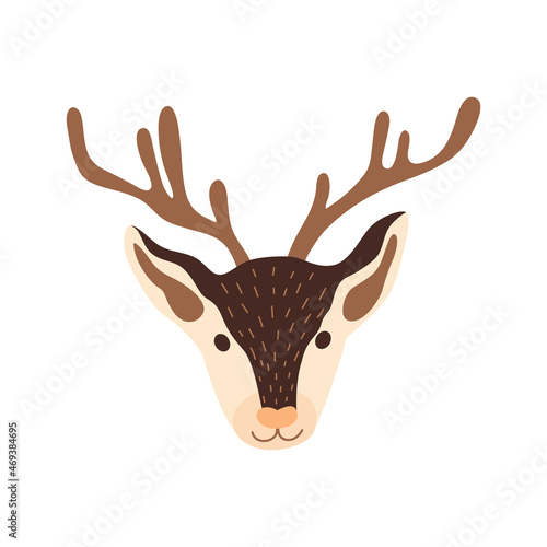 Deer head on a white background. vector illustration. photo