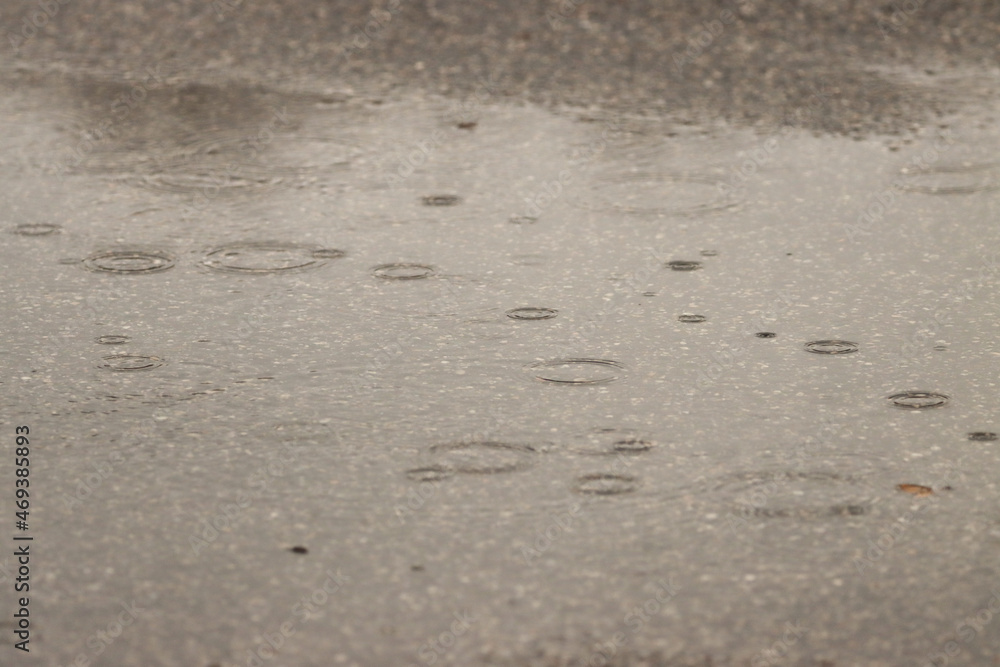 raindrops in the puddle raindrops in the puddle