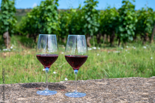 Tasting of burgundy red wine from grand cru pinot noir vineyards, two glasses of wine and view on green vineyards in Burgundy Cote de Nuits wine region, France