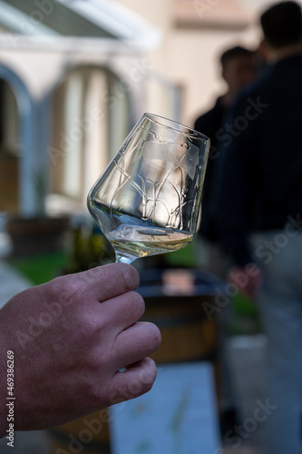 Tasting of dry burgundy white wine made from chardonnay grapes, wine tourisme to Burgundy Cote de Beaune wine region, France