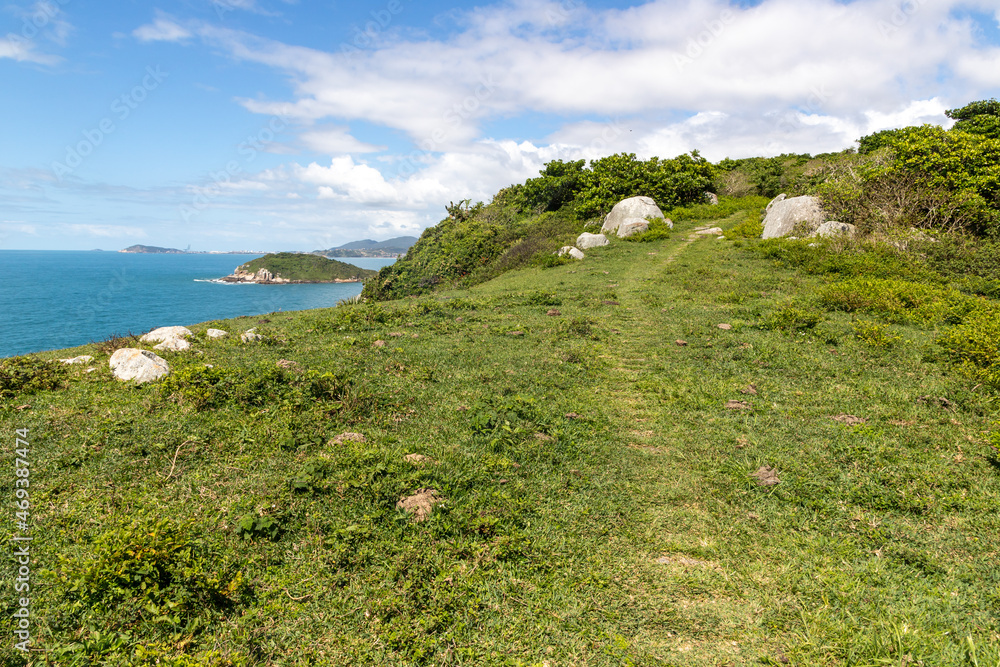 Trail to the beach with rocks and and vegetation