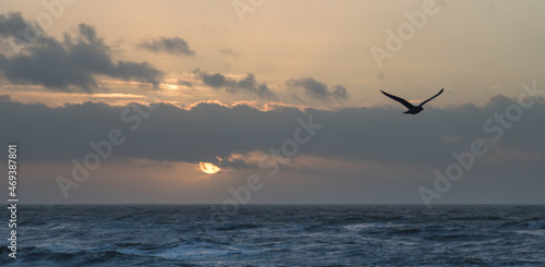 Hinaus auf's Meer photo