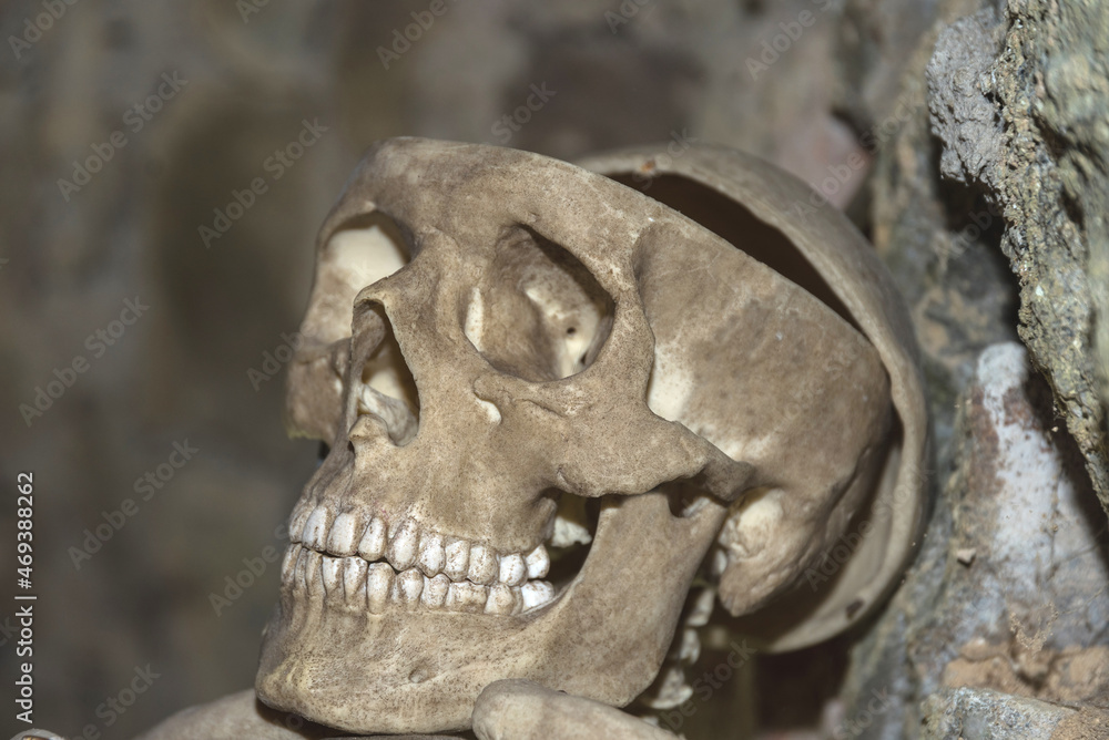 gruseliger Totenkopf - Nahaufnahme Skelett gruseliger Totenkopf - Nahaufnahme Skelett