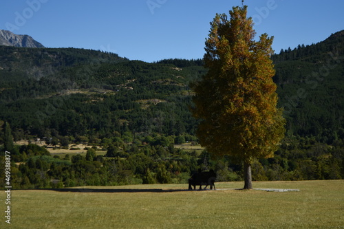 Landscape View