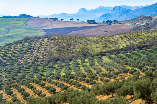 Andalusian patchwork