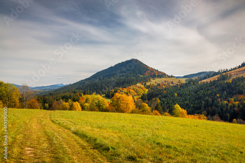 Autumn landscape with brightly colored trees and hills in the background. Orava region in northern Slovakia  Europe.