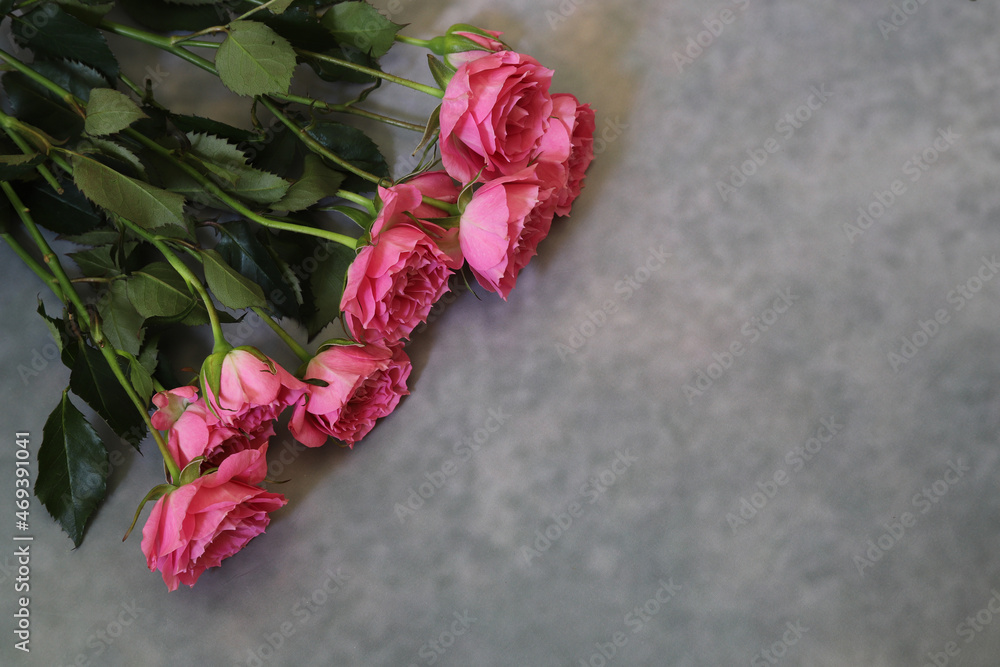 コンクリート模様背景のピンクの薔薇の花束 Stock Photo Adobe Stock