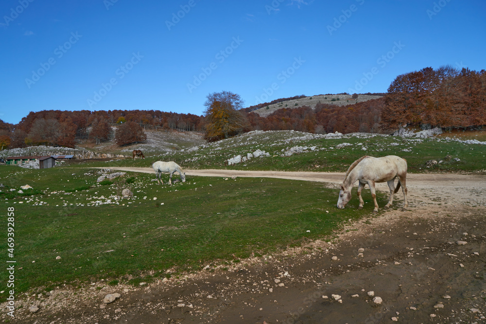 Obraz premium Campaegli in the autumn, Monti Simbruini Natural Regional Park 