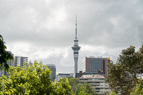 Auckland sky tower view from Albert park
