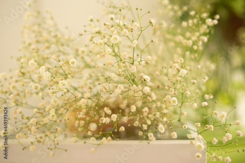 White gypsophila flowers lying on a book