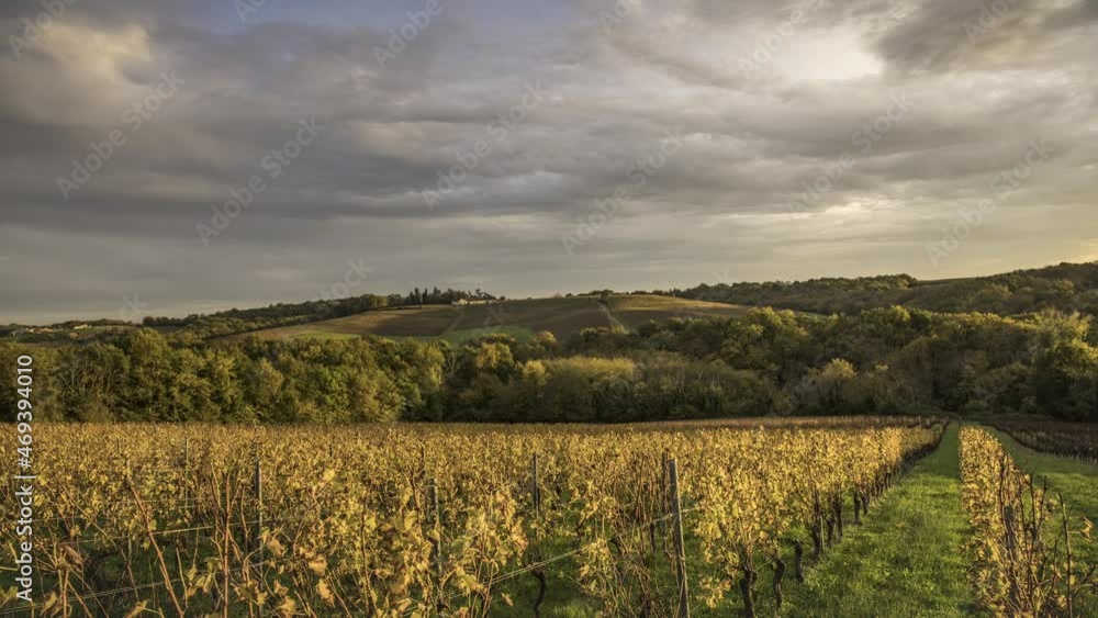 Bordeaux Vineyard at sunrise in autumn, Entre deux mers, Langoiran, Gironde, France Bordeaux Vineyard at sunrise in autumn, Entre deux mers, Langoiran, Gironde, France