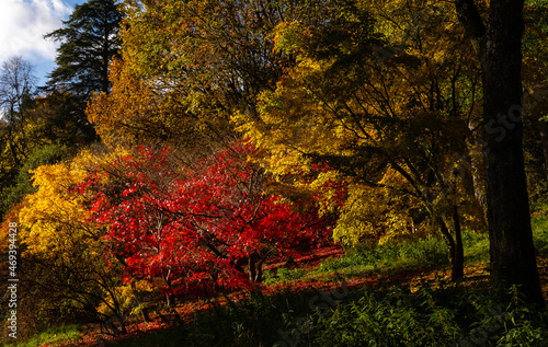 autumn in the park