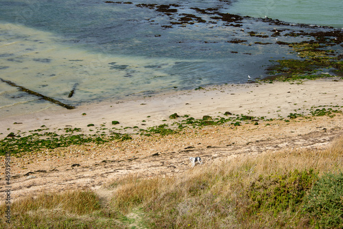 beach in the morning