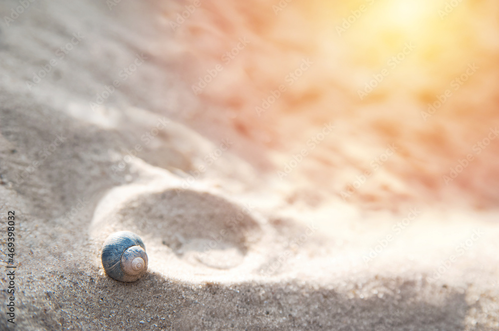 Snail shell close-up on textured natural sand... Snail shell close-up on textured natural sand...