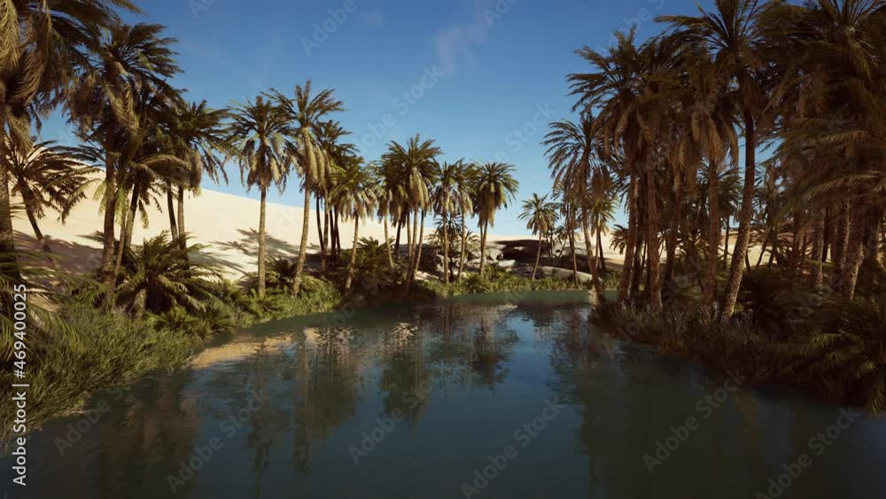 pond and palm trees in desert oasis pond and palm trees in desert oasis