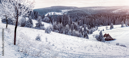 winter mountain landscape snowcap (ID: 469400066)