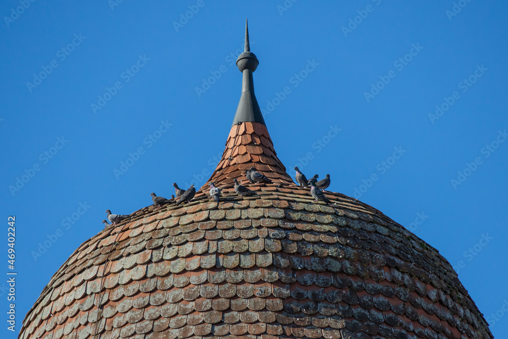 Pigeons sitting on steeple