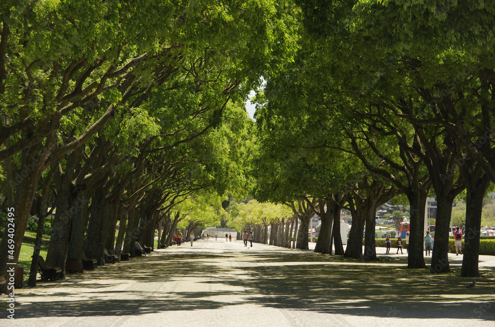 An avenue with portuguese cobblestone pavement in Edward VII park in Lisbon