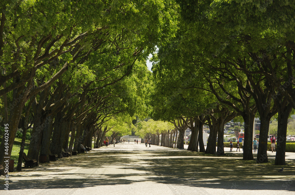 An avenue with portuguese cobblestone pavement in Edward VII park in Lisbon An avenue with portuguese cobblestone pavement in Edward VII park in Lisbon