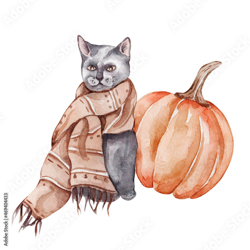 Watercolor cat with pumpkin