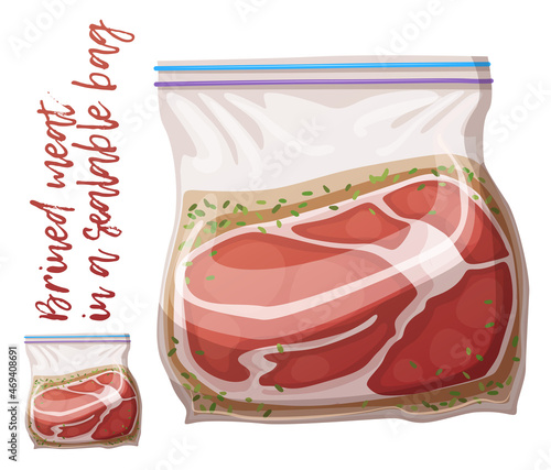 Brined meat in a sealable bag for barbecue icon. Cartoon vector illustration isolated on white background