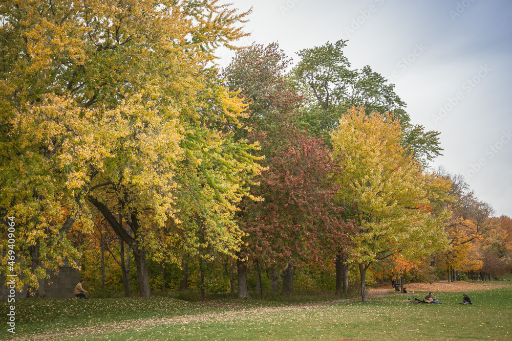 autumn in the park autumn in the park