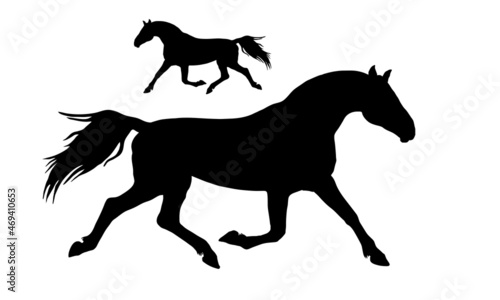 a set of silhouettes of trotter horses , black images isolated on a white background 